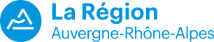 logo region Aura